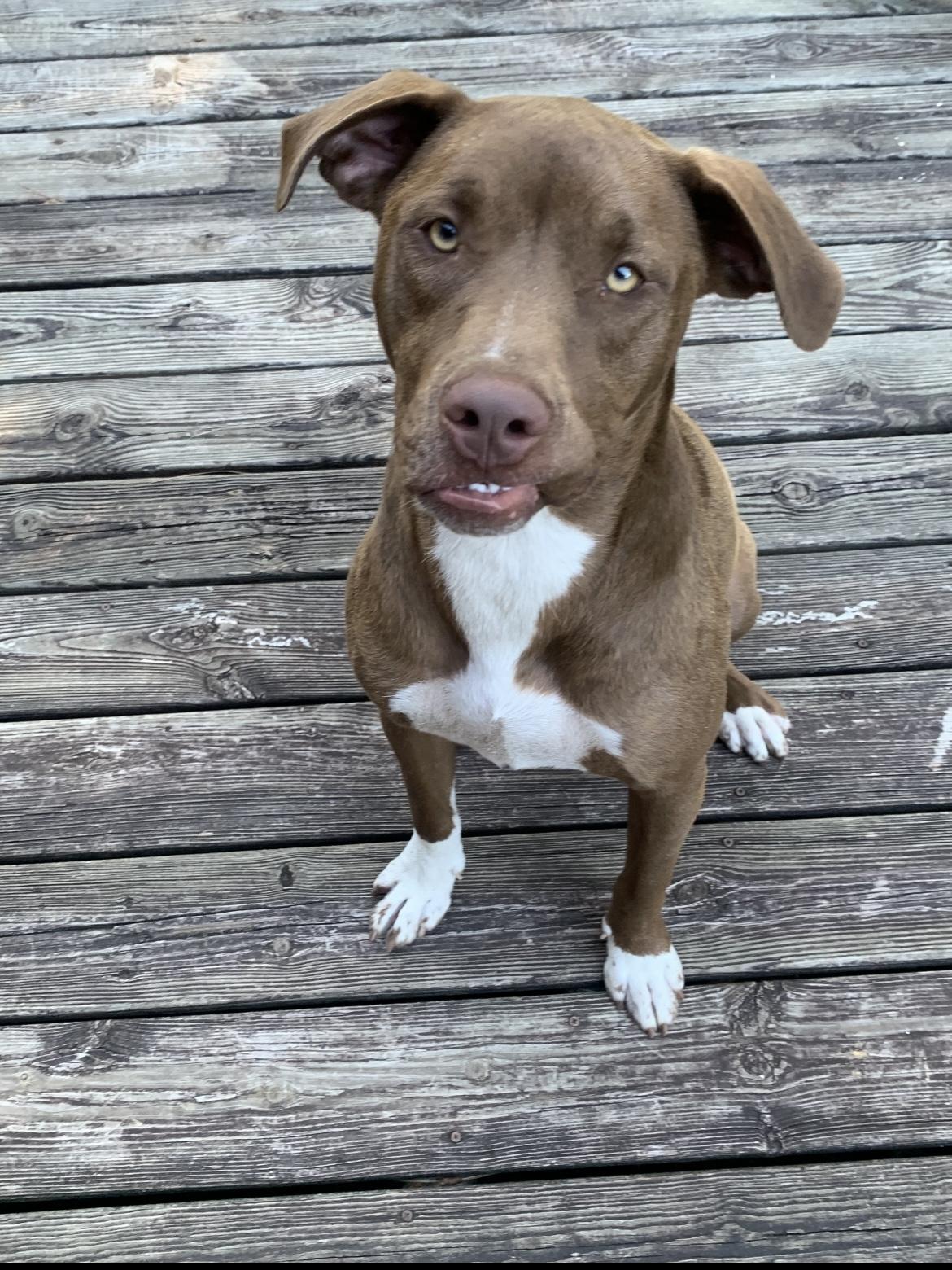 CLIFF- handsome boy!
