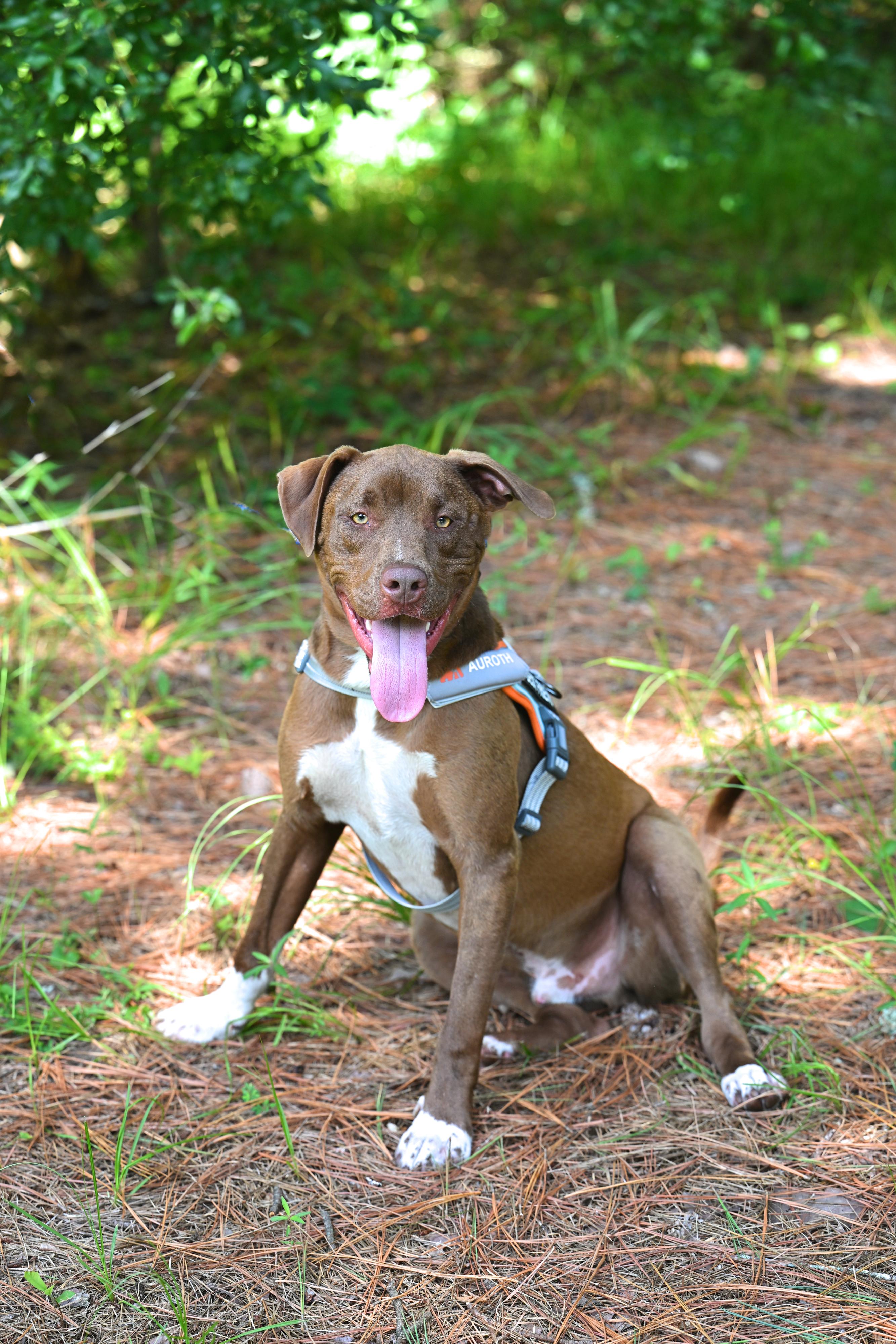 CLIFF- handsome boy!