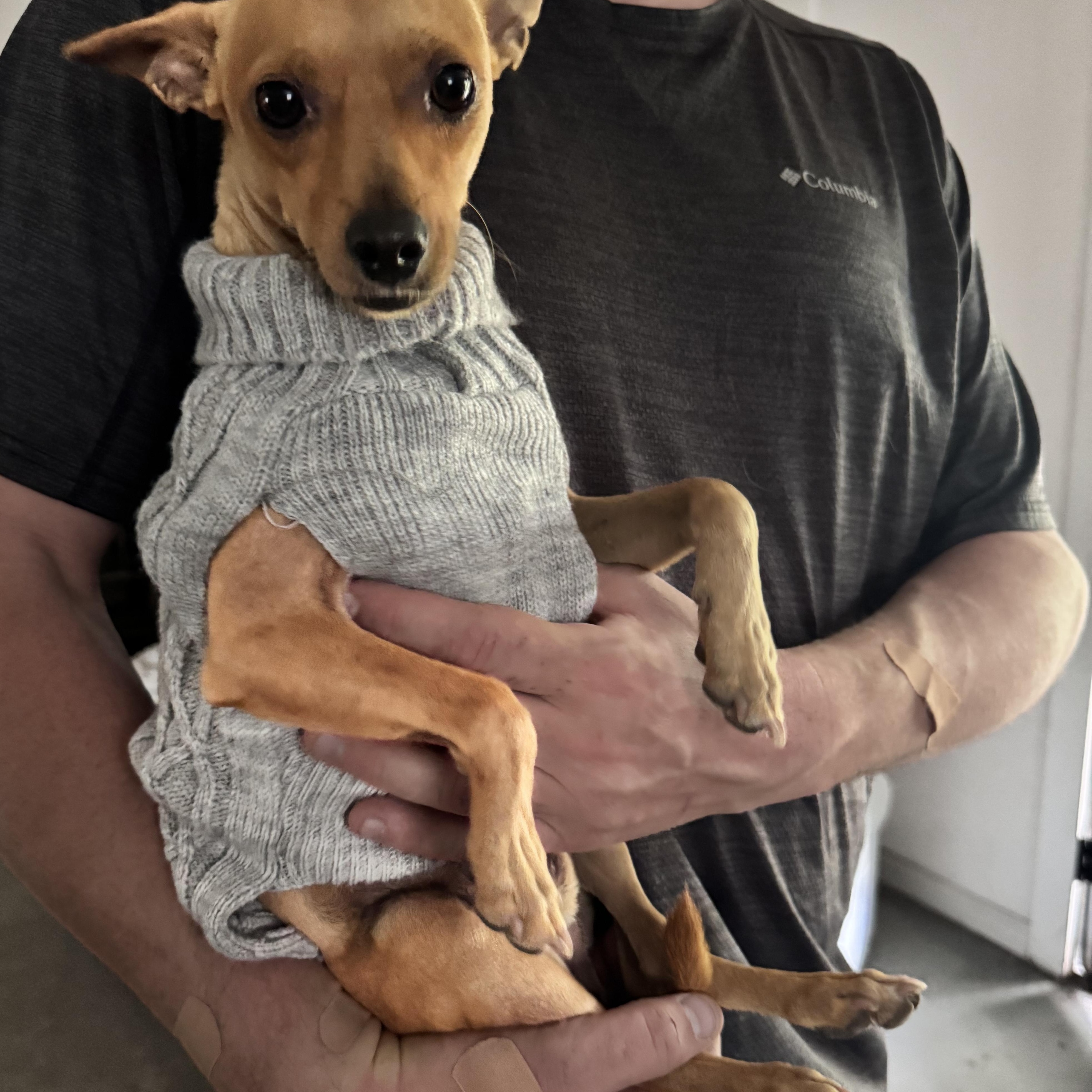 Chico