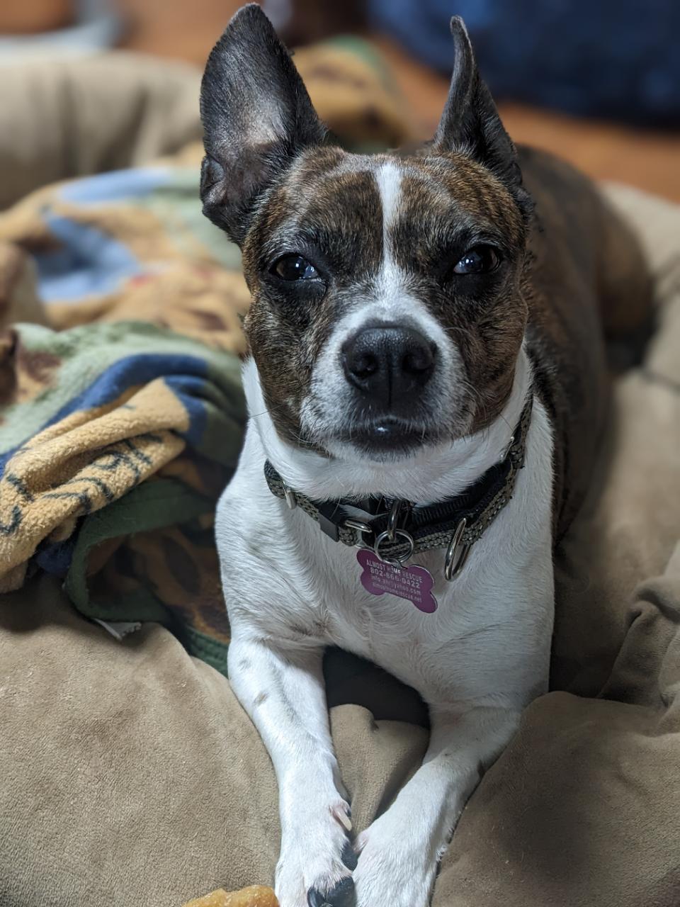-Tinkerbell is in Maine photo 1
