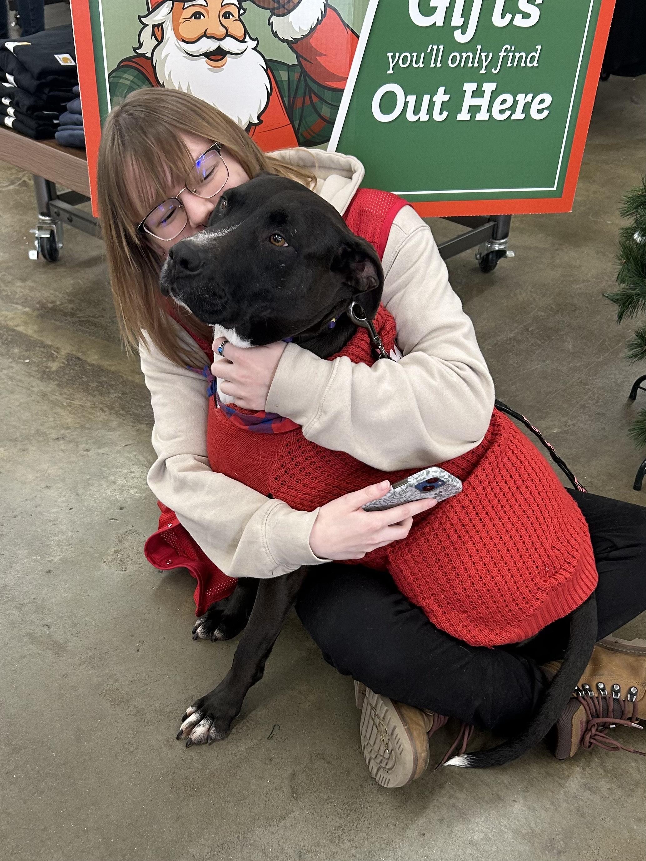 Enlarge DEMI, an adoptable Terrier in Franklin, KY image 3/6