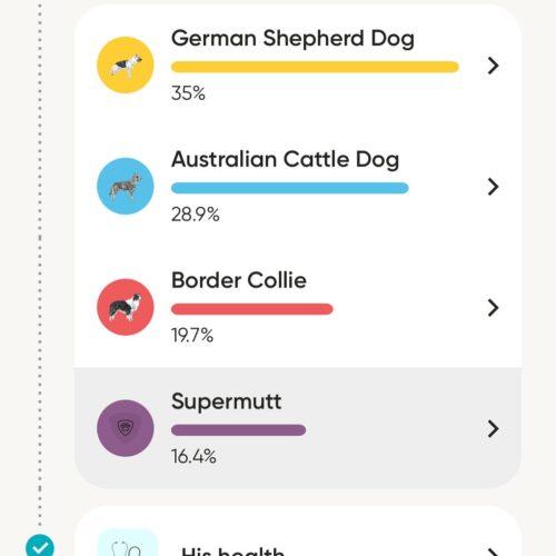 Enlarge Otis, a Adoptable mixed breed in Visalia, CA image 2/5