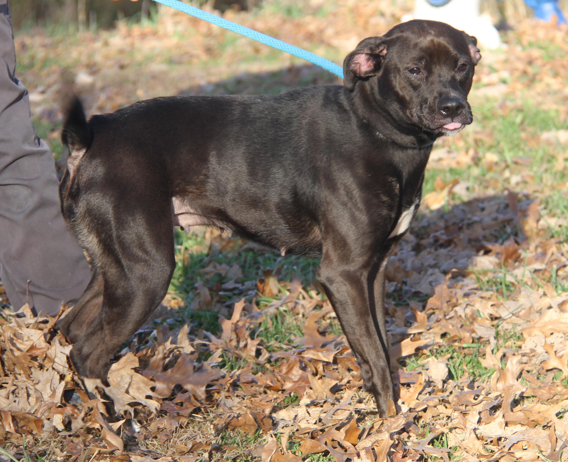 Sally (Photos 11/13/2025)