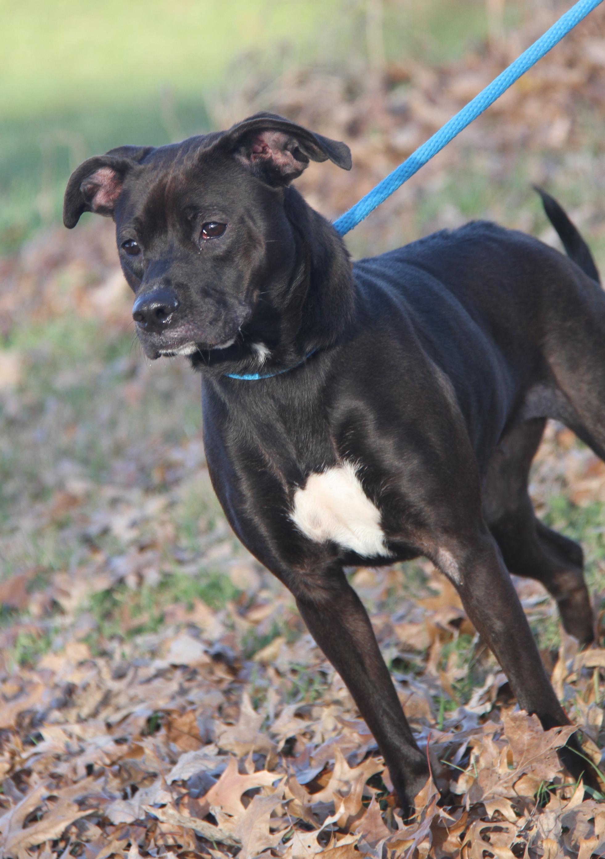 Sally (Photos 11/13/2025)