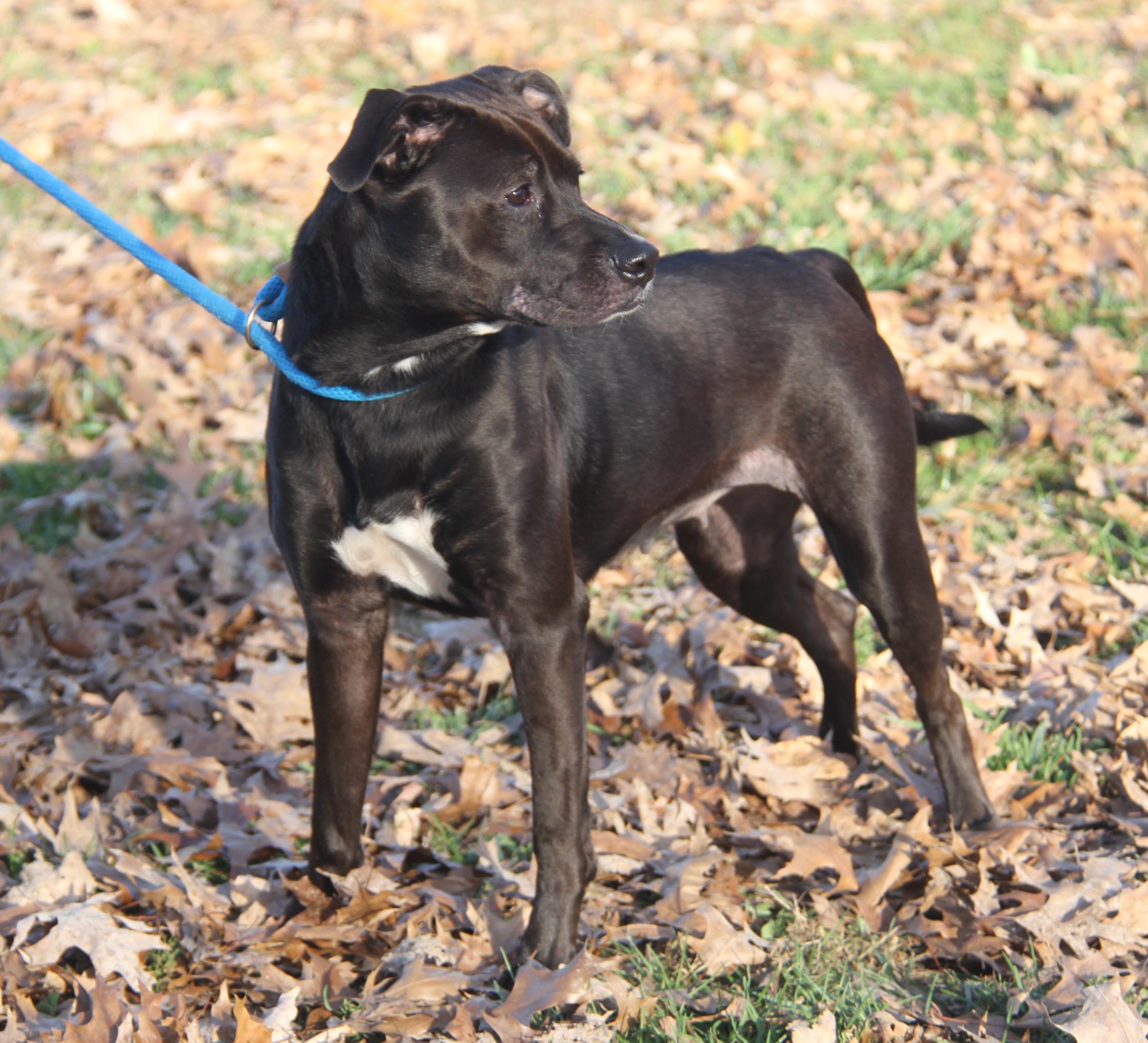 Sally (Photos 11/13/2025)