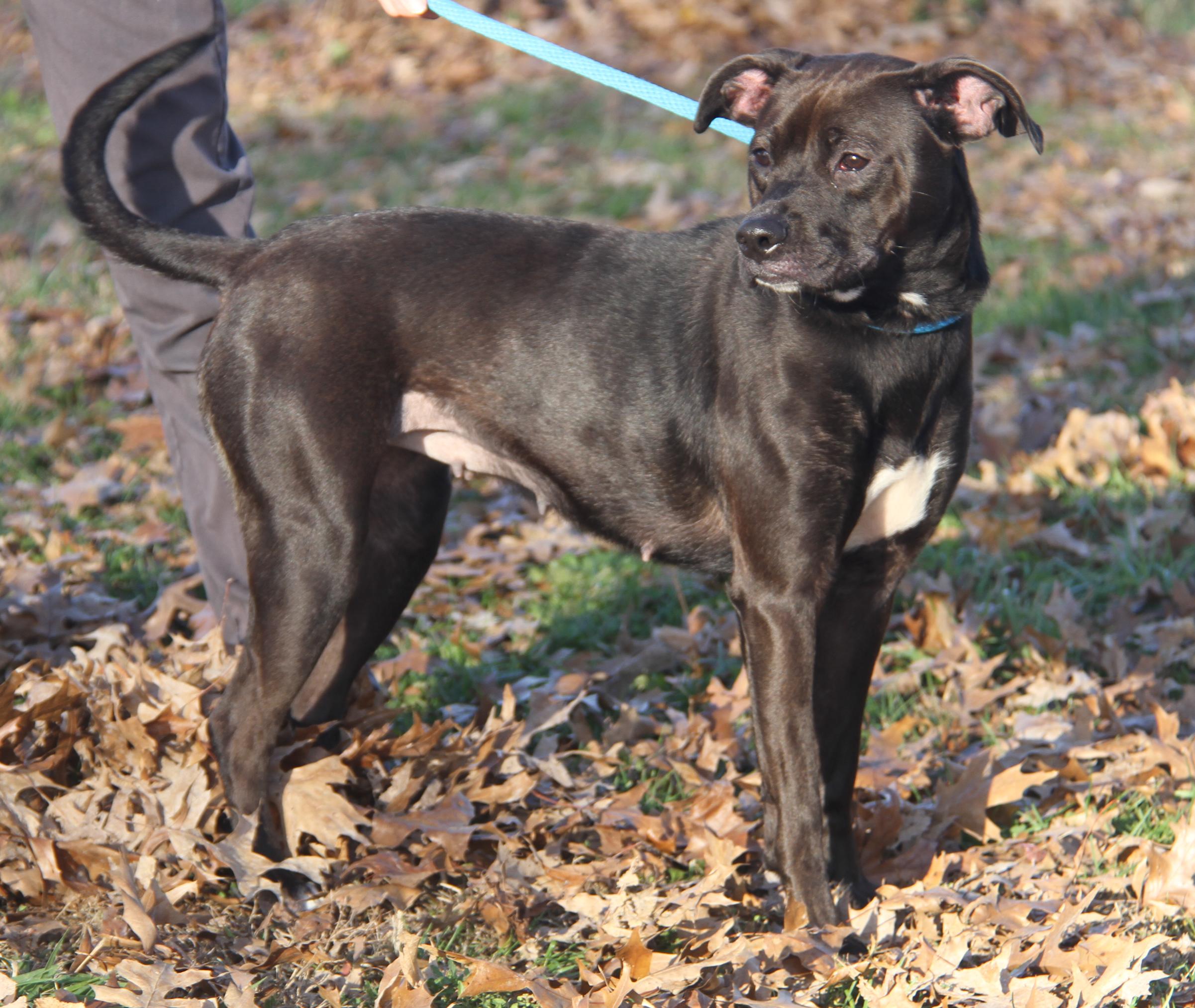 Sally (Photos 11/13/2025)