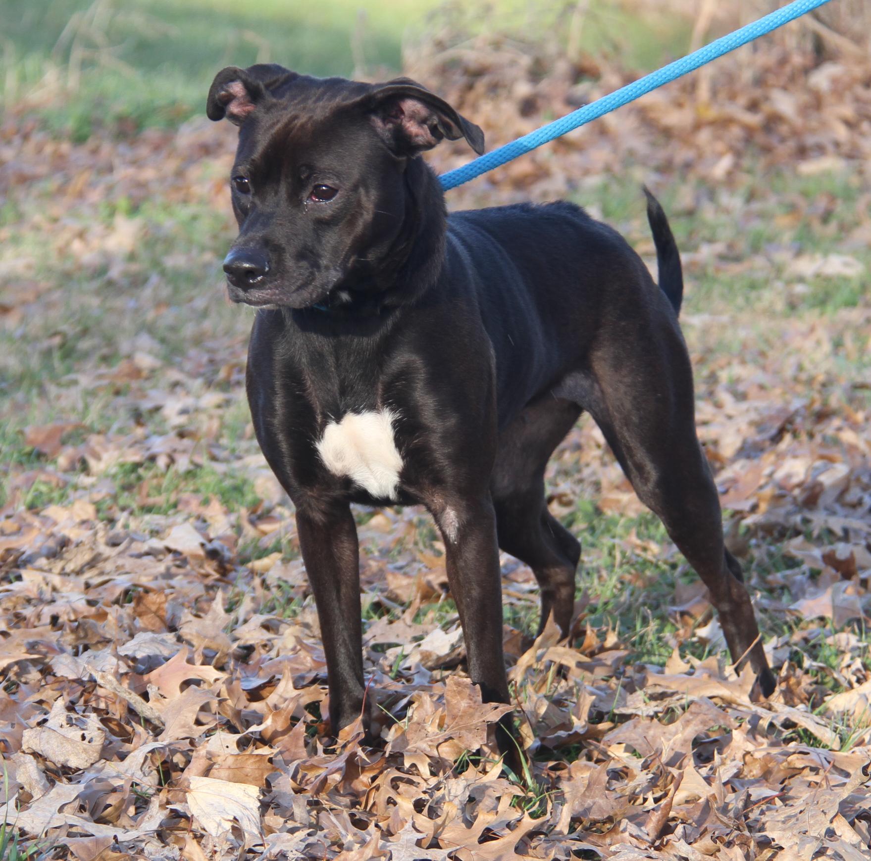 Sally (Photos 11/13/2025)