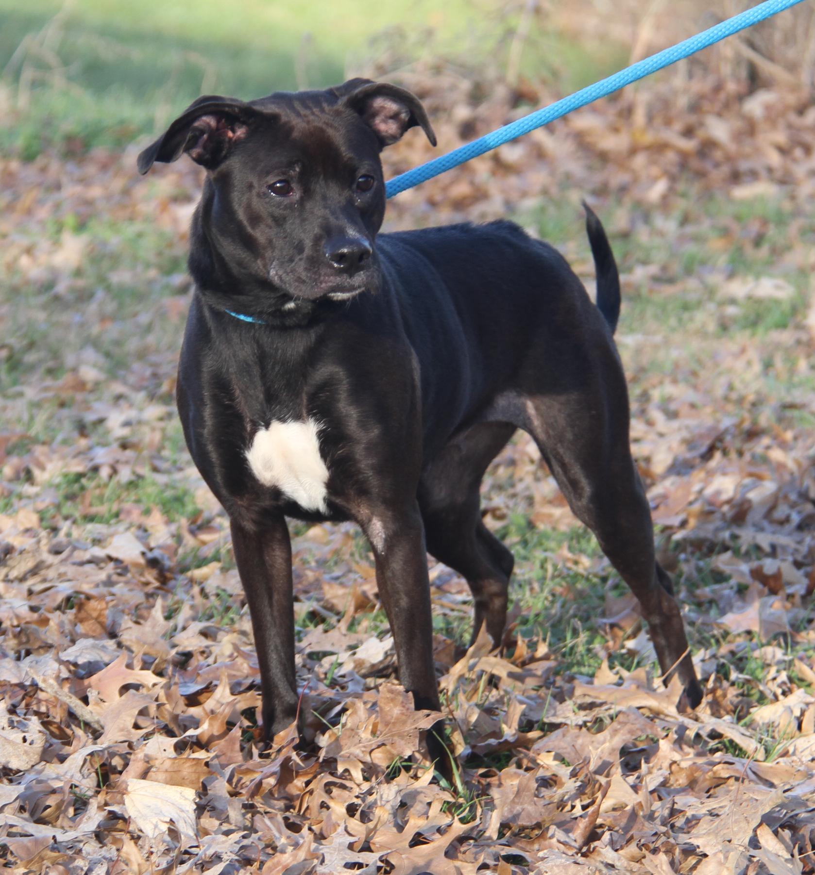 Sally (Photos 11/13/2025)