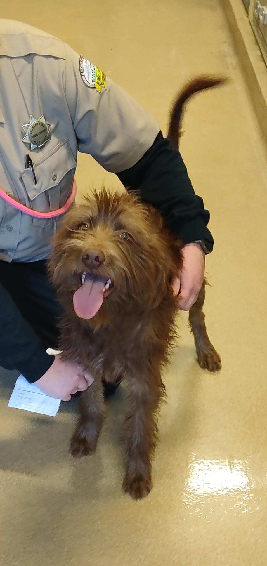 Enlarge 26-0005 "Casanova", a ADOPTABLE mixed breed in Leavenworth, KS image 2/5