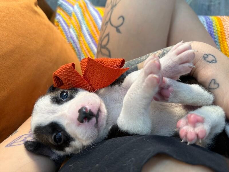 London Bridge — thumbnail 3