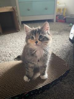 Bridget — thumbnail 4