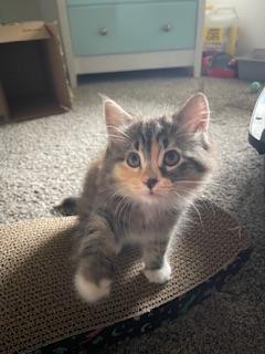 Bridget — thumbnail 5