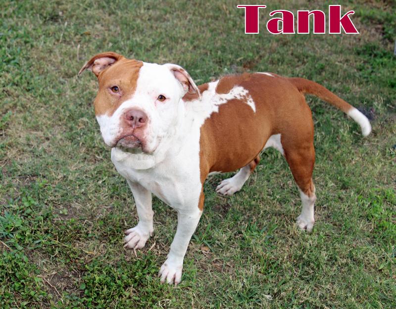 TANK