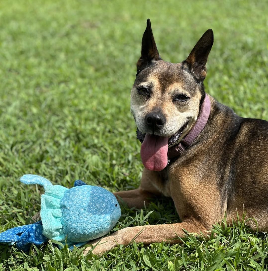 Leah, Senior Female unknown