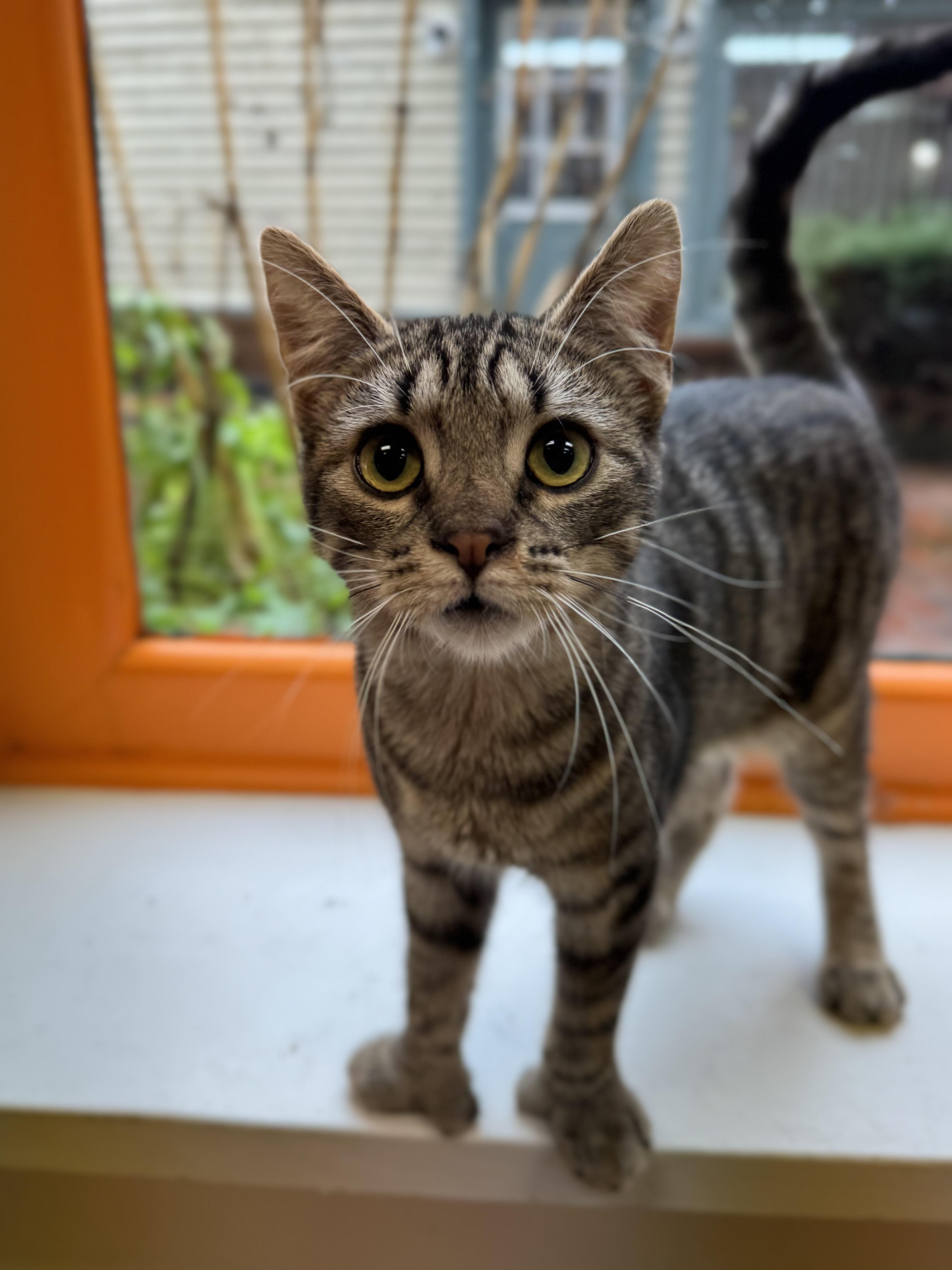 Ciara And Connor thumbnail 2