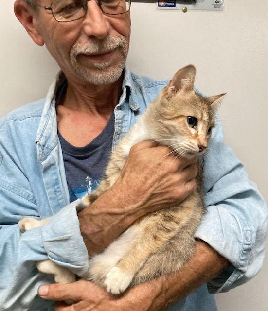 Venus Bonded With Serena