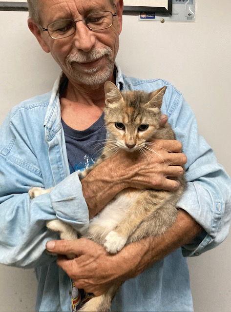 Venus Bonded With Serena thumbnail 3