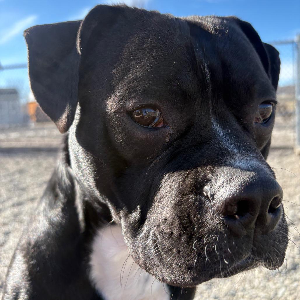 Radish — thumbnail 2