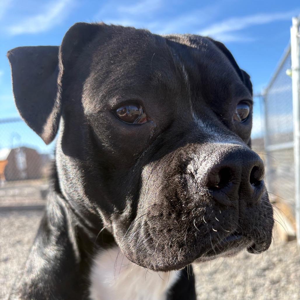 Radish — thumbnail 3