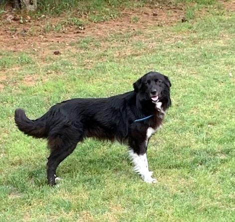 MURPHY - never met a stranger!