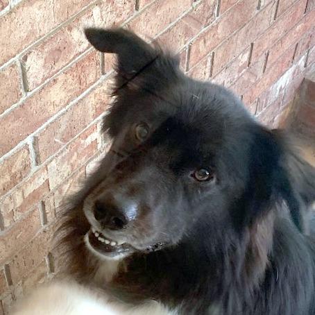 MURPHY - never met a stranger!