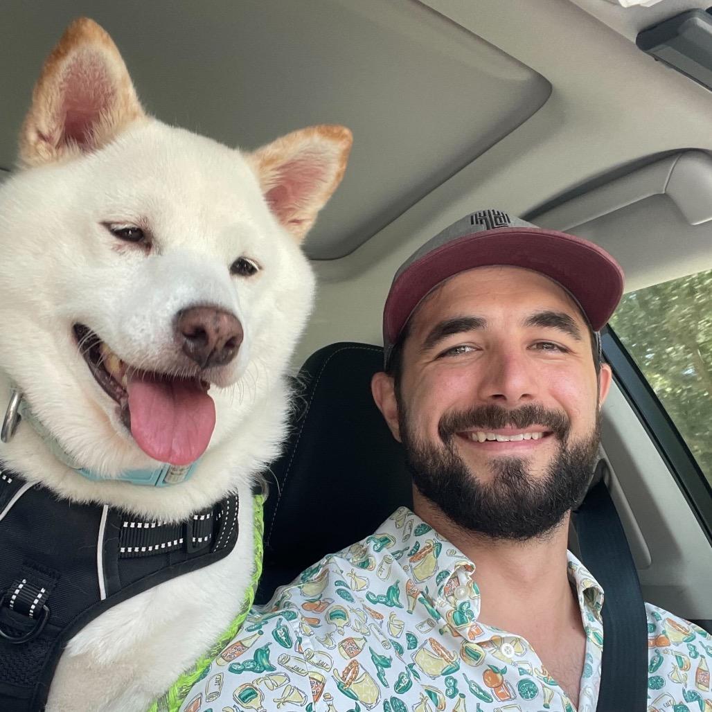 Brenna, Adoptable, Senior Female Shiba Inu.