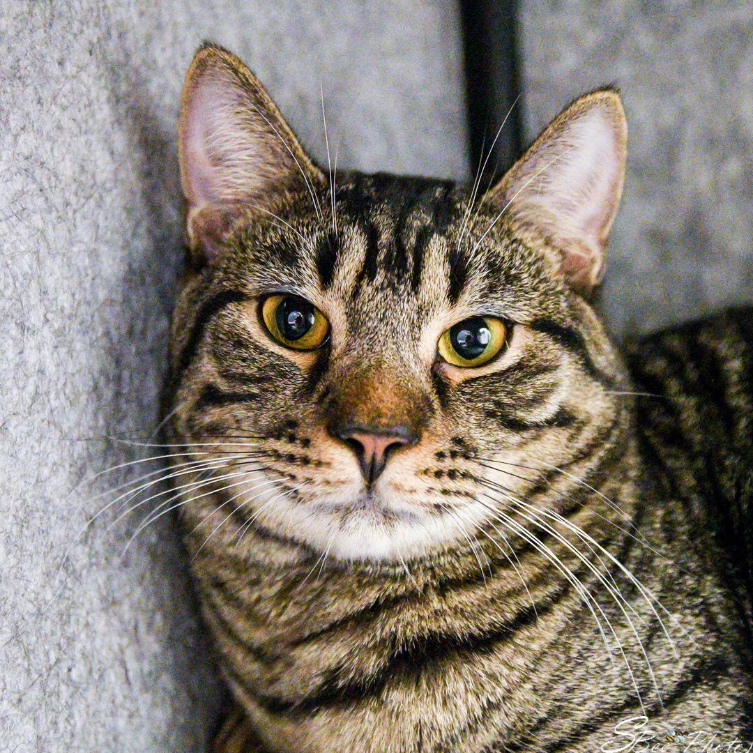 Gucci — thumbnail 2