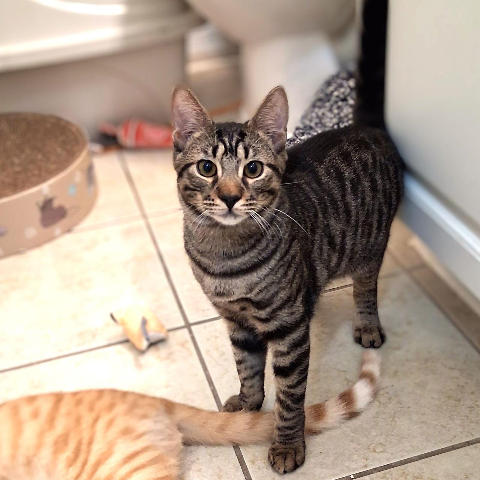 Gucci — thumbnail 3