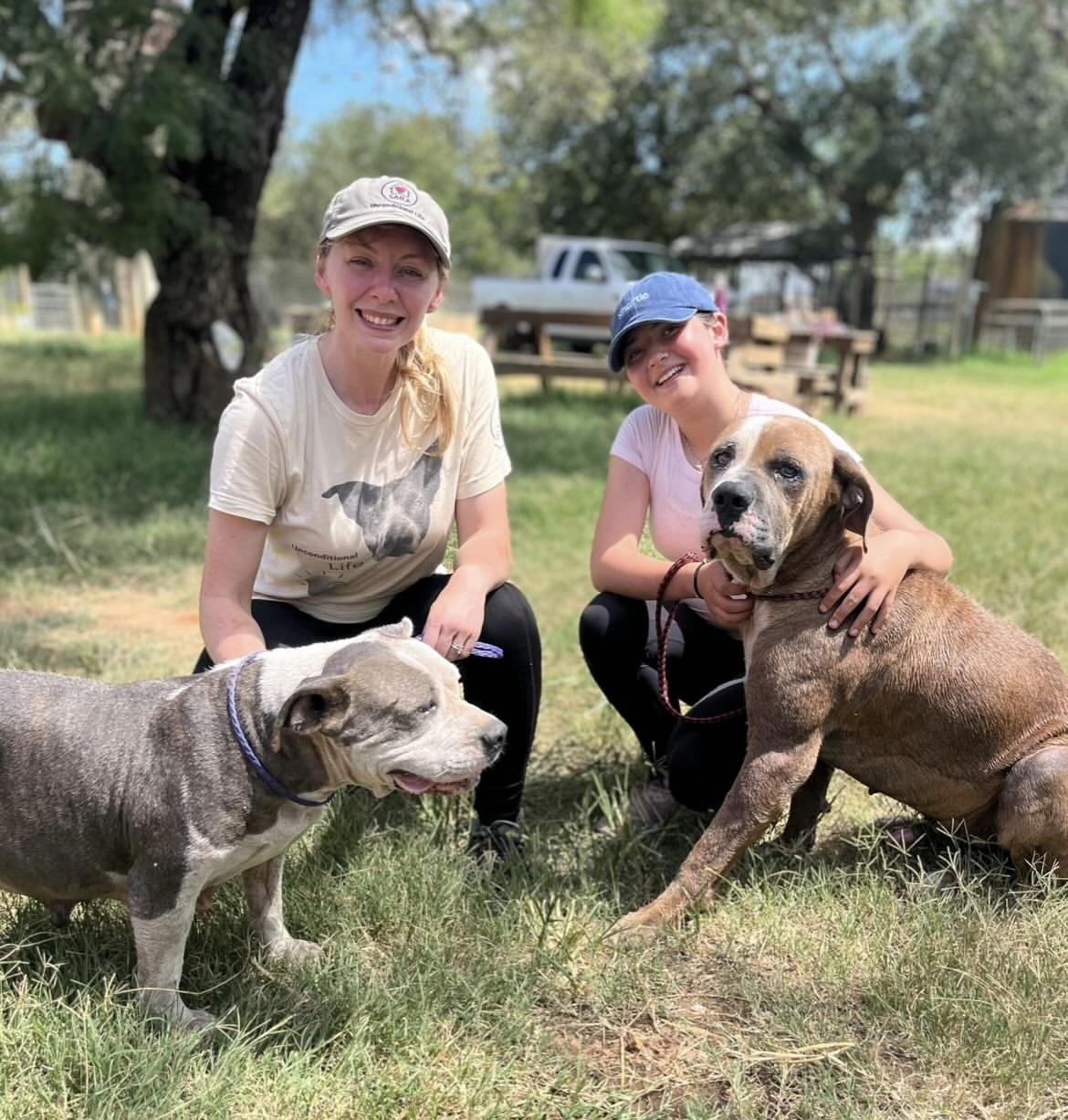 Enlarge Cyrus, a Adoptable mixed breed in Seguin, TX image 2/5