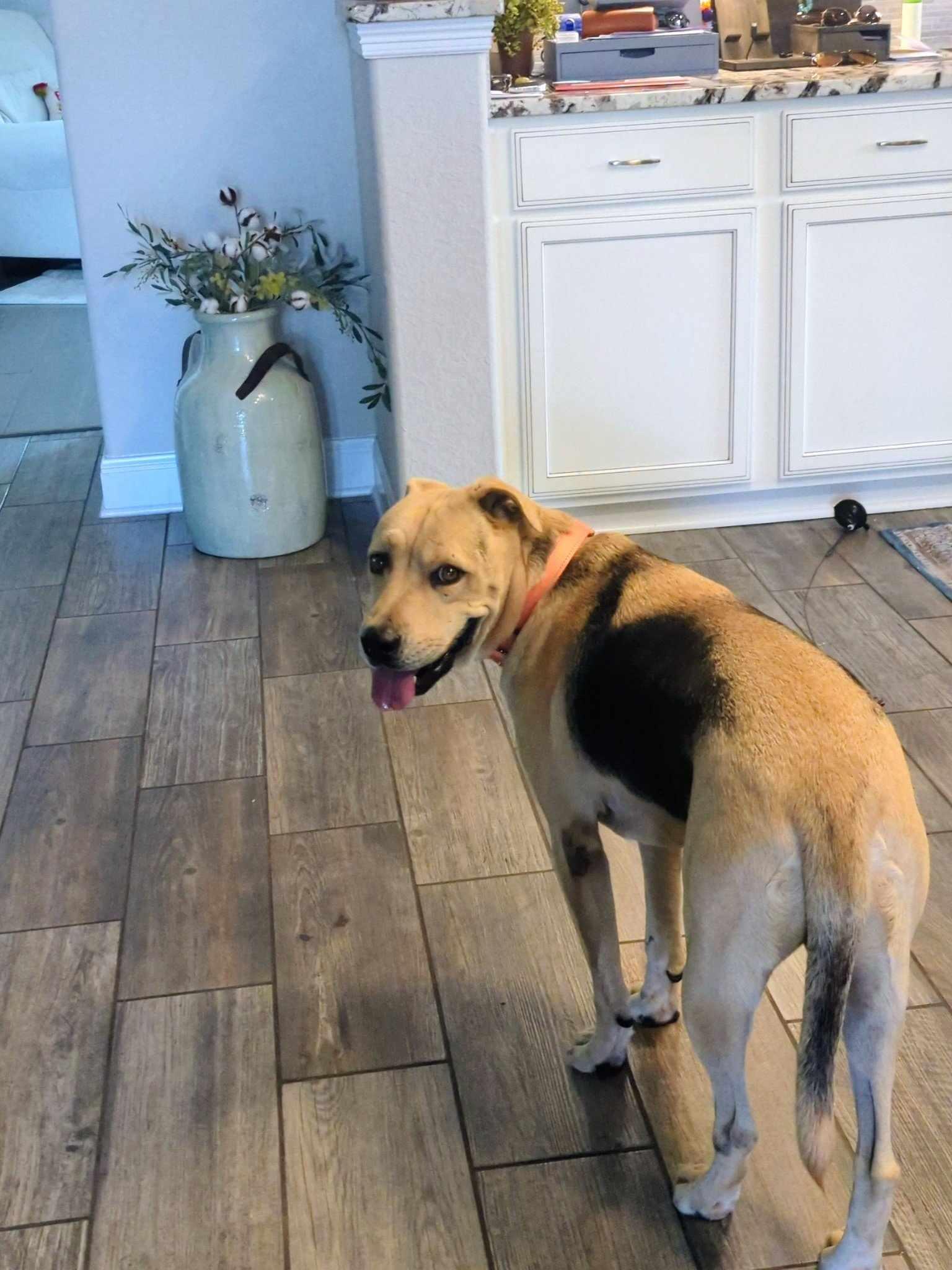 Relay — thumbnail 2