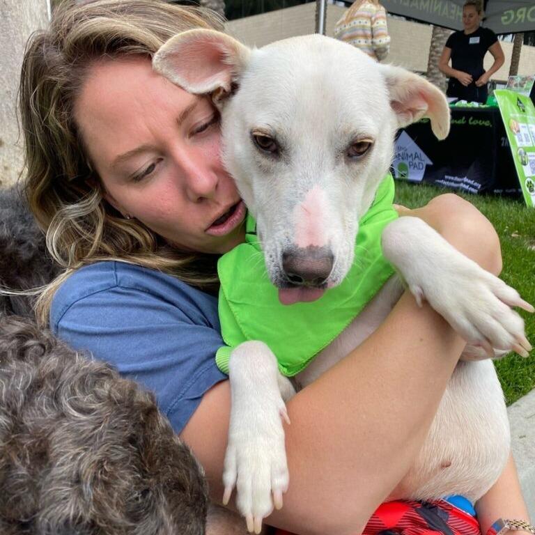 Enlarge Coco, a Adoptable Terrier in San Diego, CA image 6/6