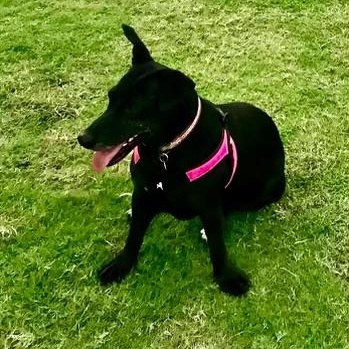 Beto and Pantera — thumbnail 6