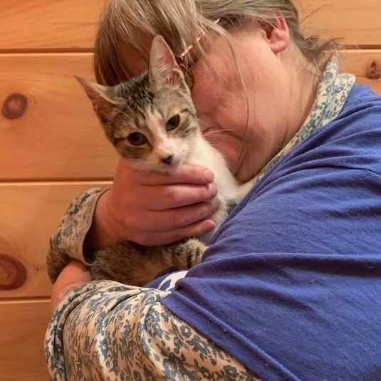 Enlarge Squirrel, a Adoptable Tabby in Hawley, PA image 3/6