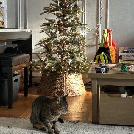 Brea — thumbnail 2