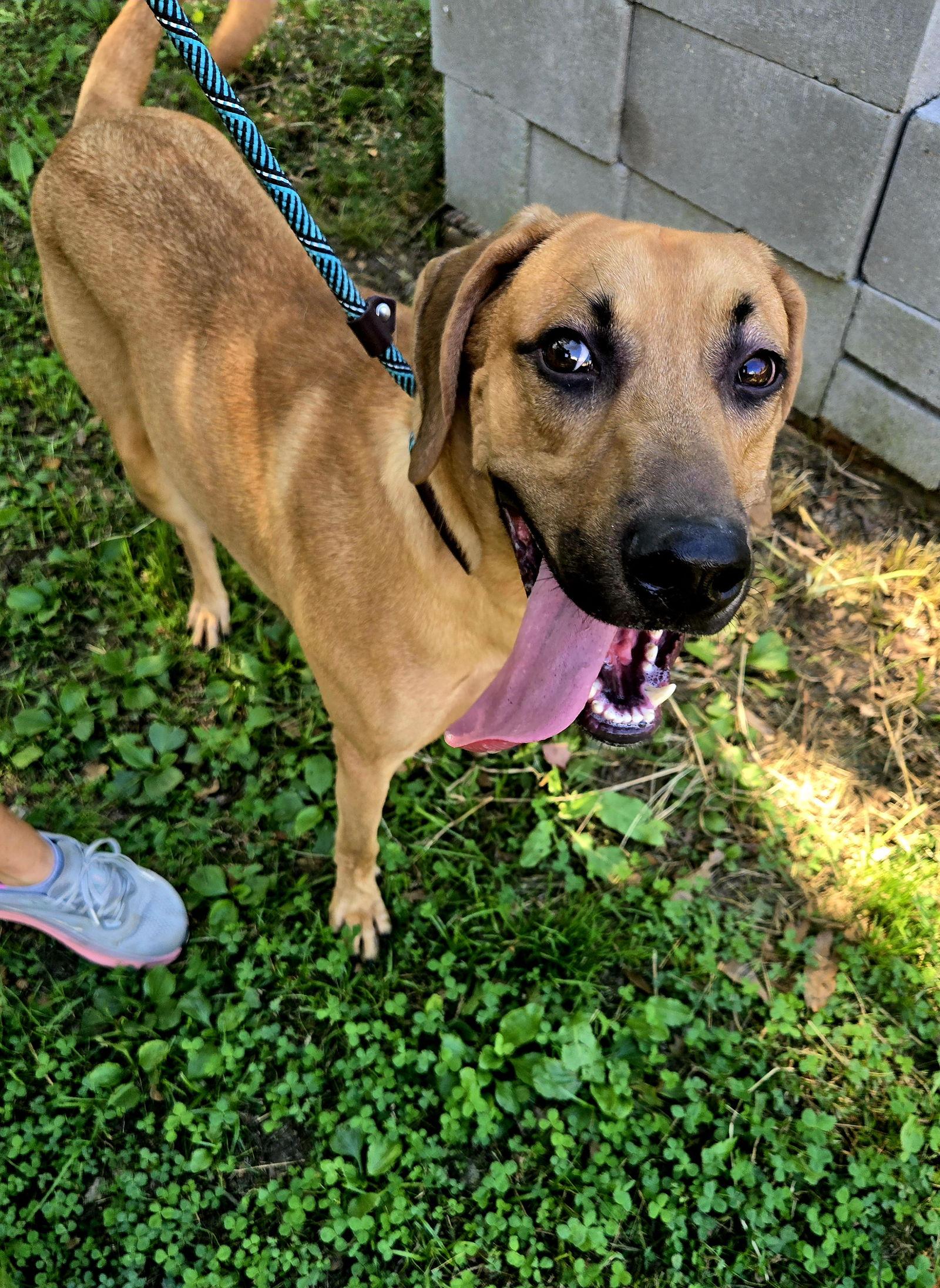 Lane Frost — thumbnail 2