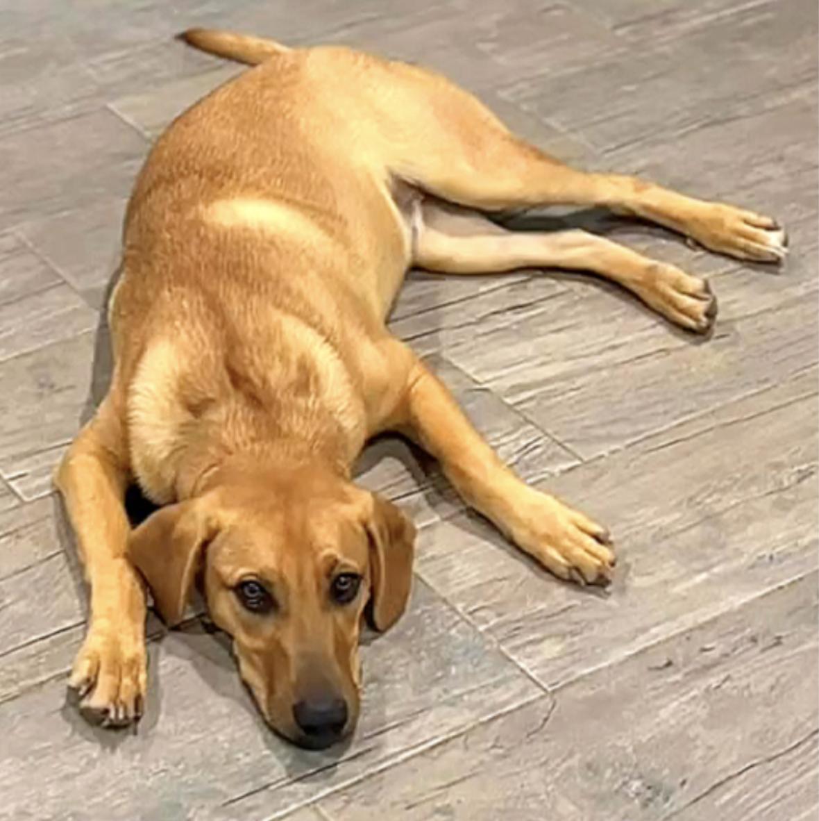 Smitten — thumbnail 2