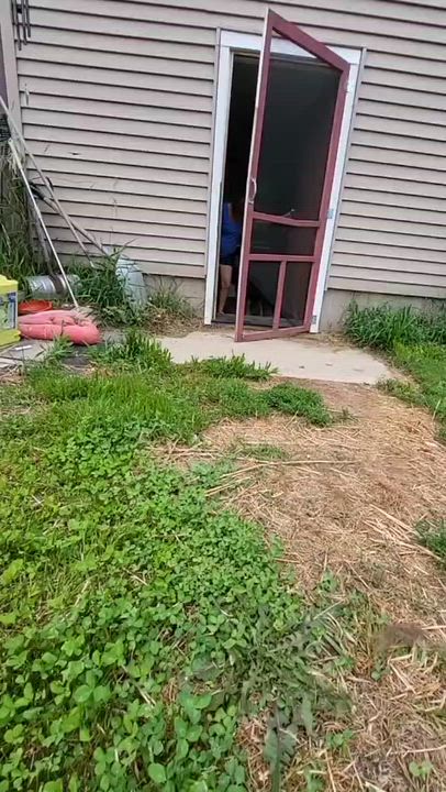 Enlarge Jeff, a Adoptable mixed breed in Grand Rapids, MI video 5/6