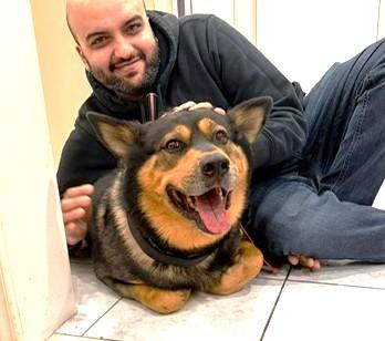 Enlarge Honey, a ADOPTABLE mixed breed in Mississauga, ON image 4/6