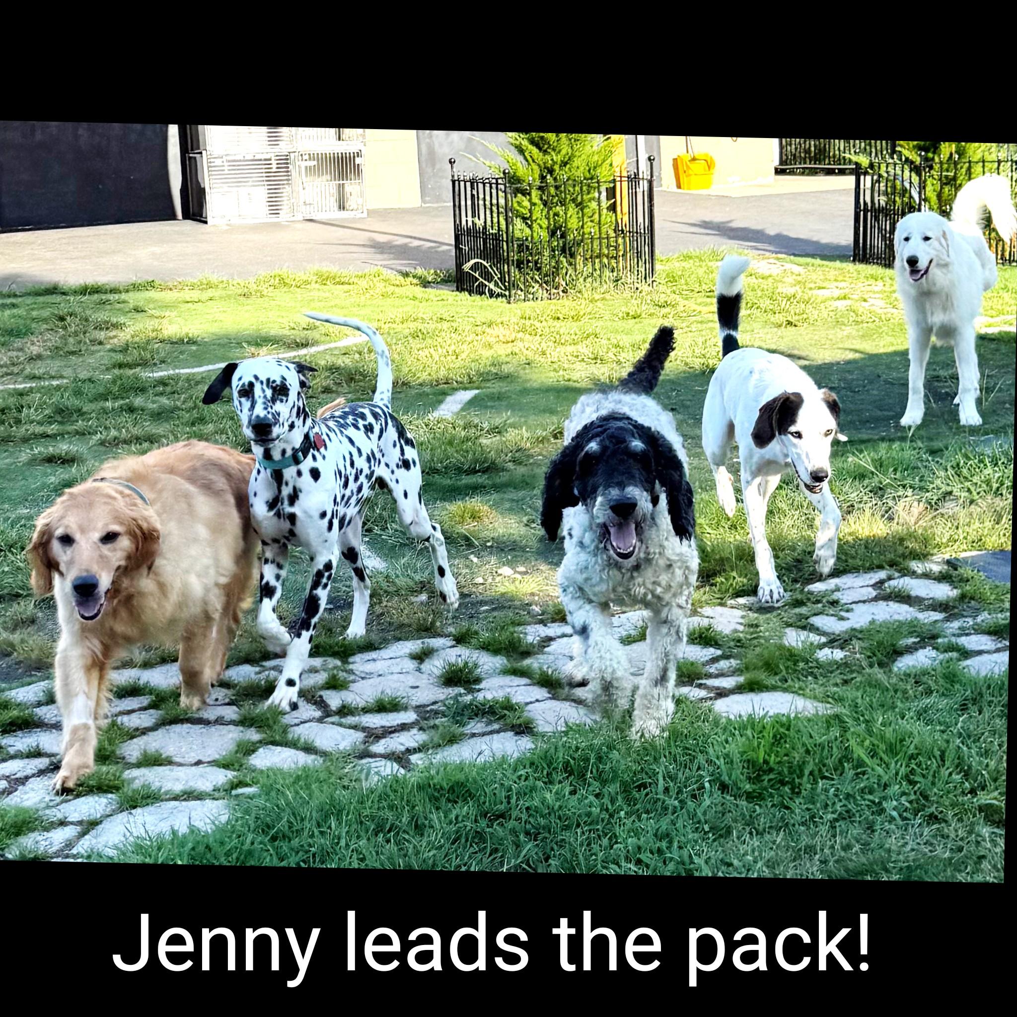 Jenny