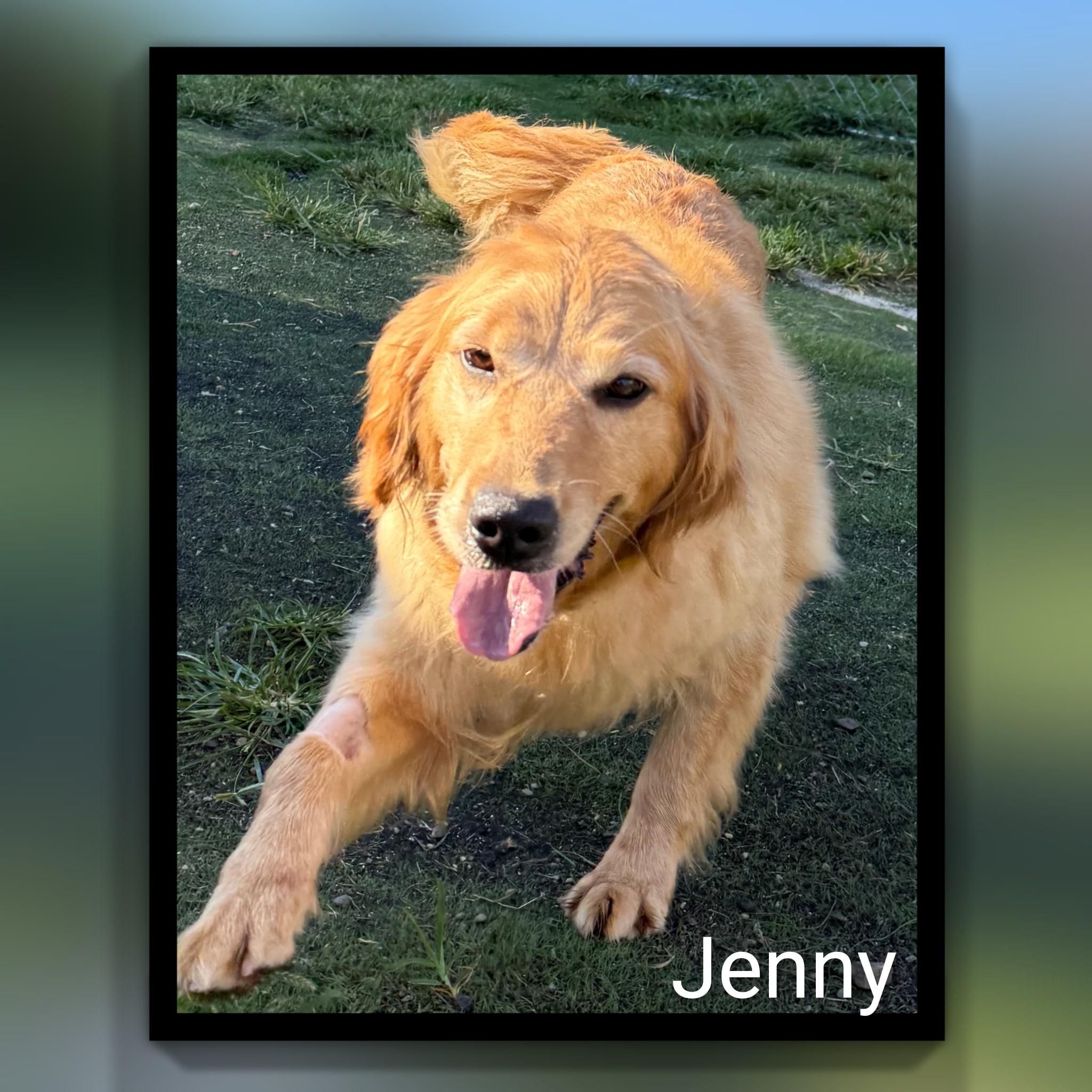 Jenny