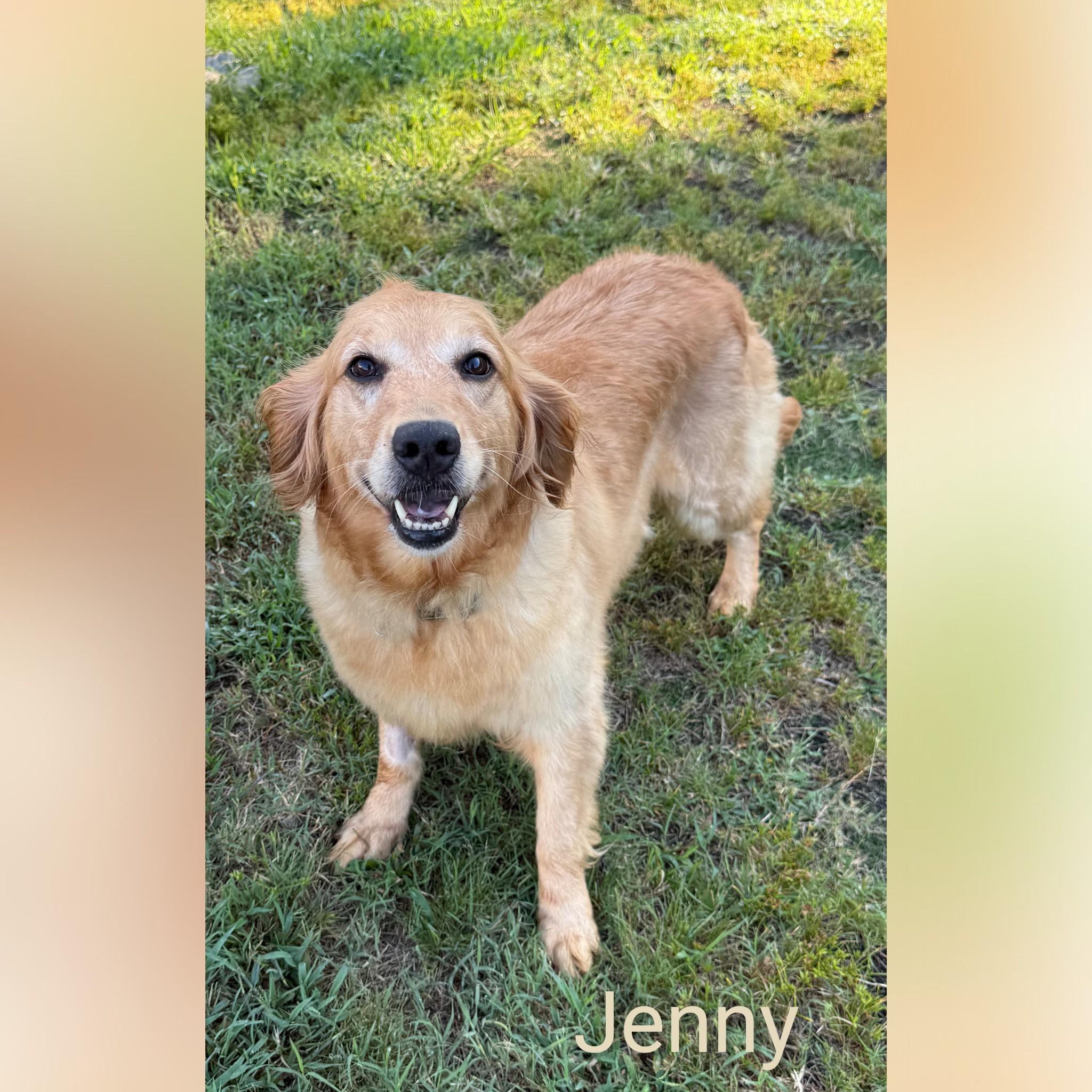 Jenny