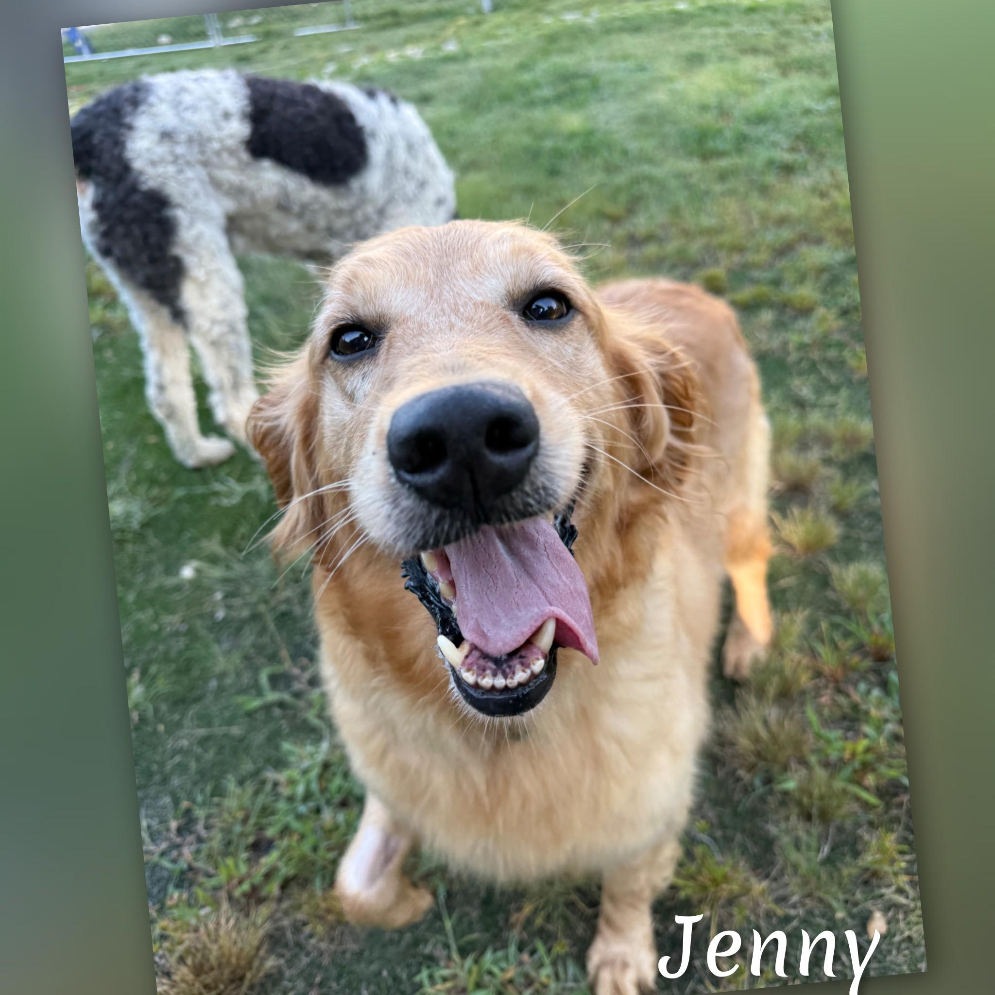 Jenny