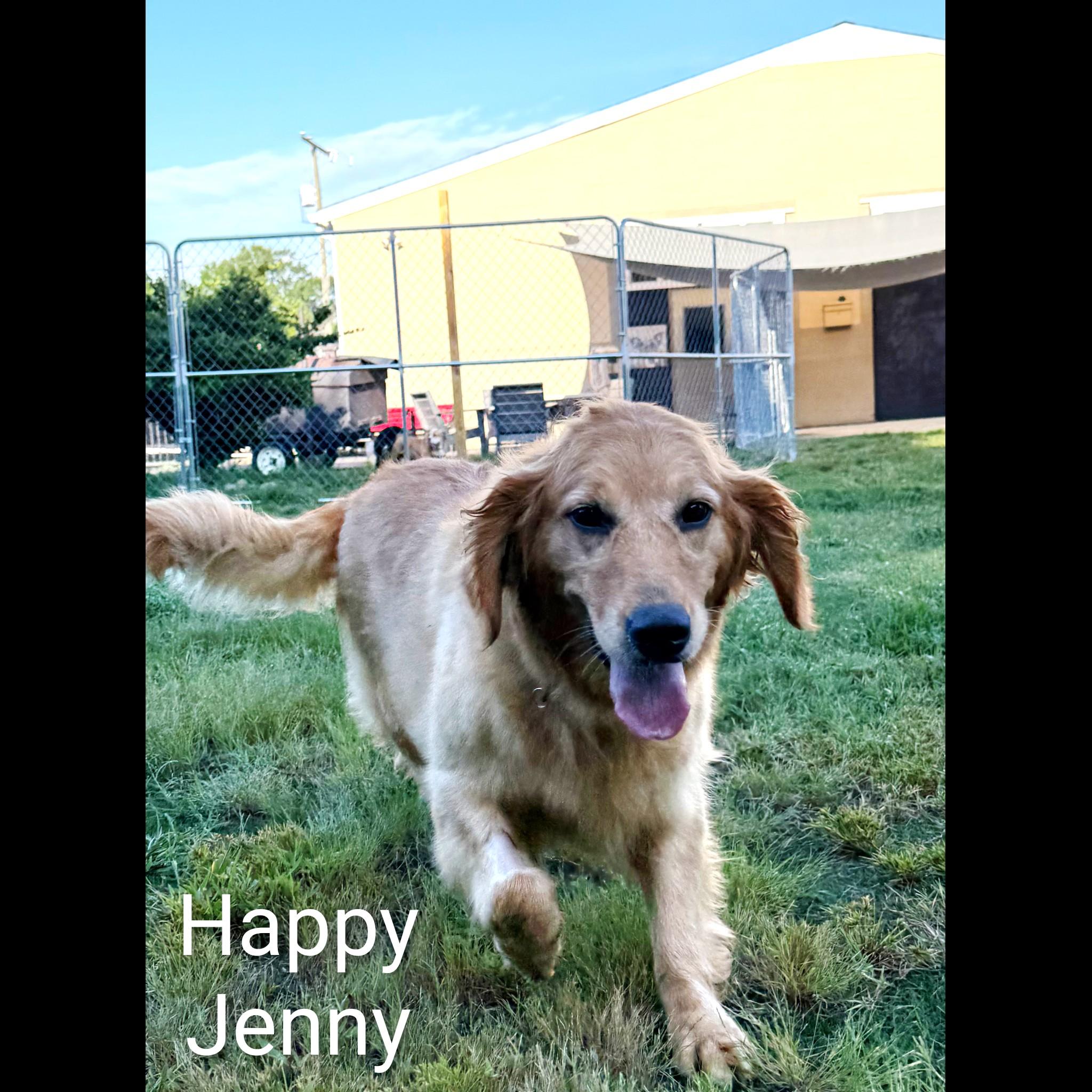 Jenny