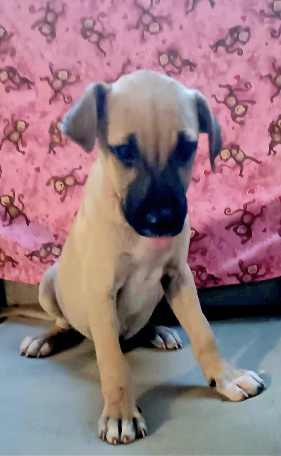 Jace In Ny To thumbnail 2