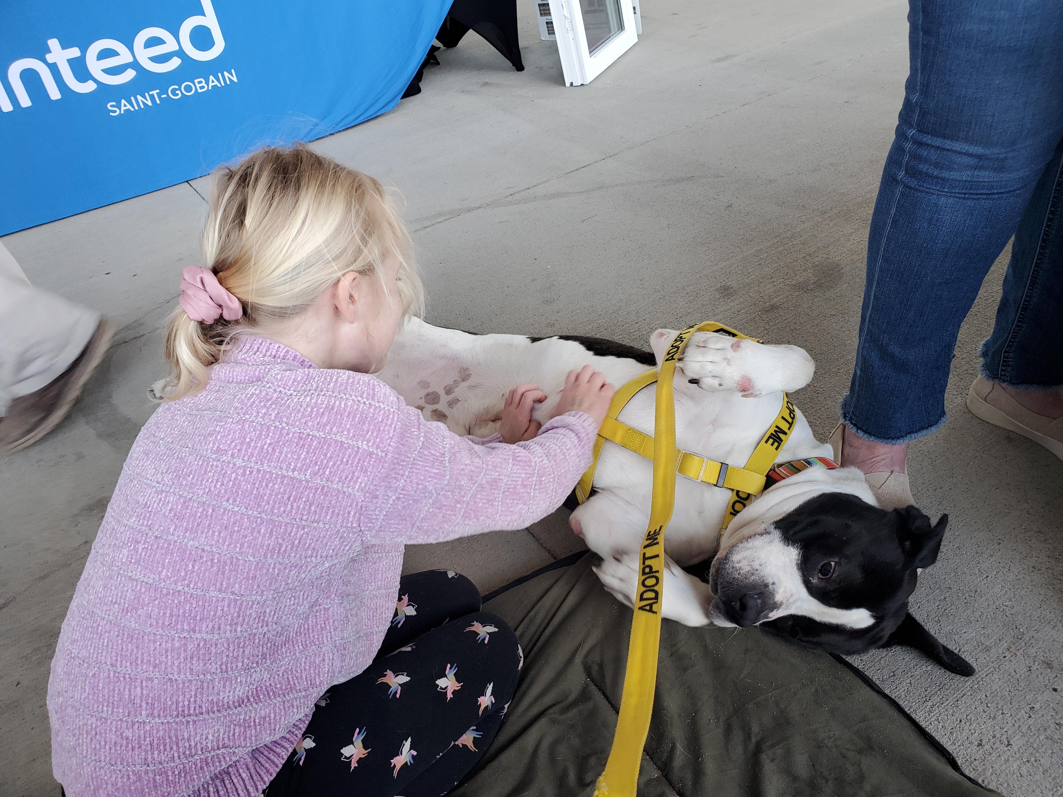 Enlarge Melon, a ADOPTABLE Mixed Breed in Petersburg, VA image 2/6