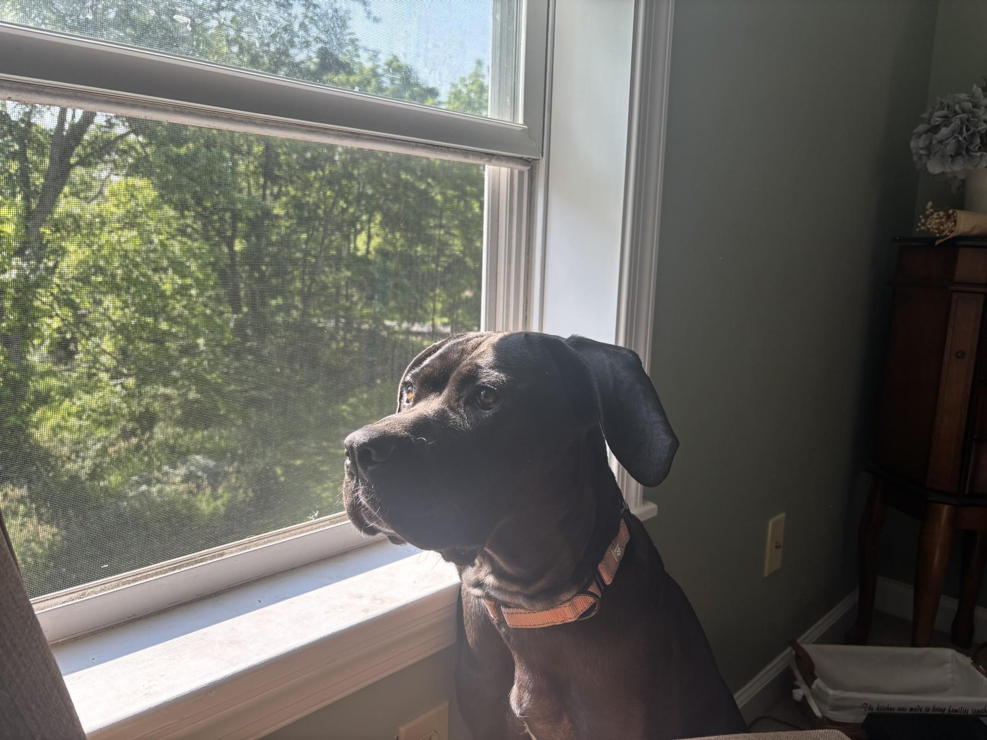 Gabby