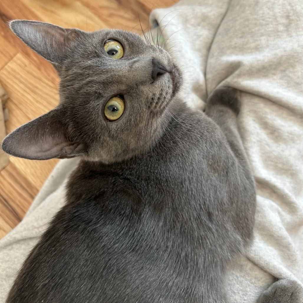 Burrell — thumbnail 2