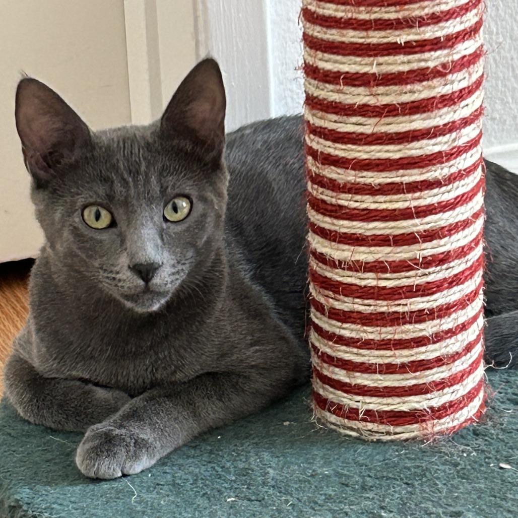 Burrell — thumbnail 3