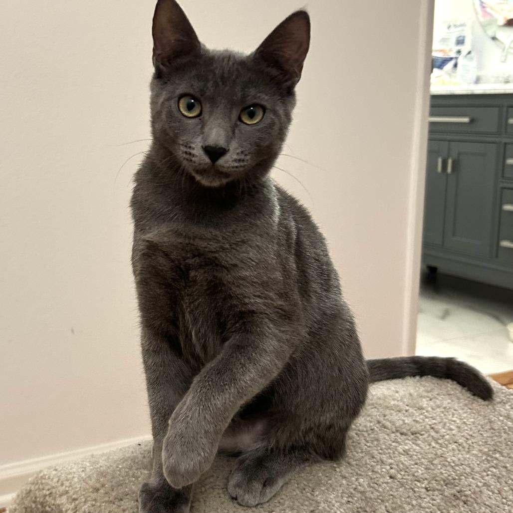 Burrell — thumbnail 4