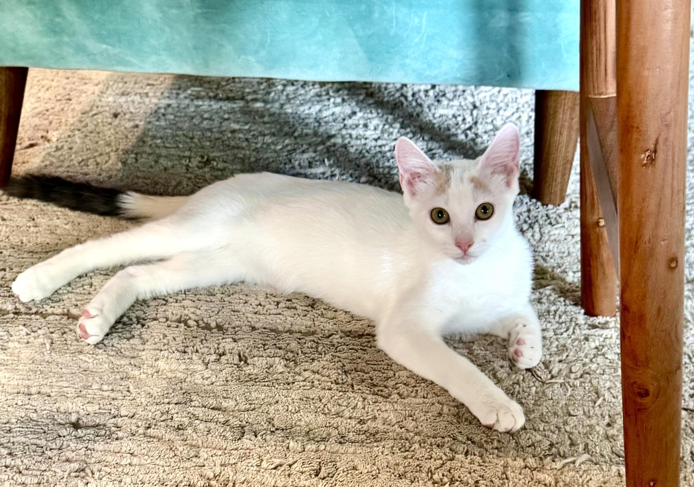 Wilma & Powder (Mother & Daughter!)